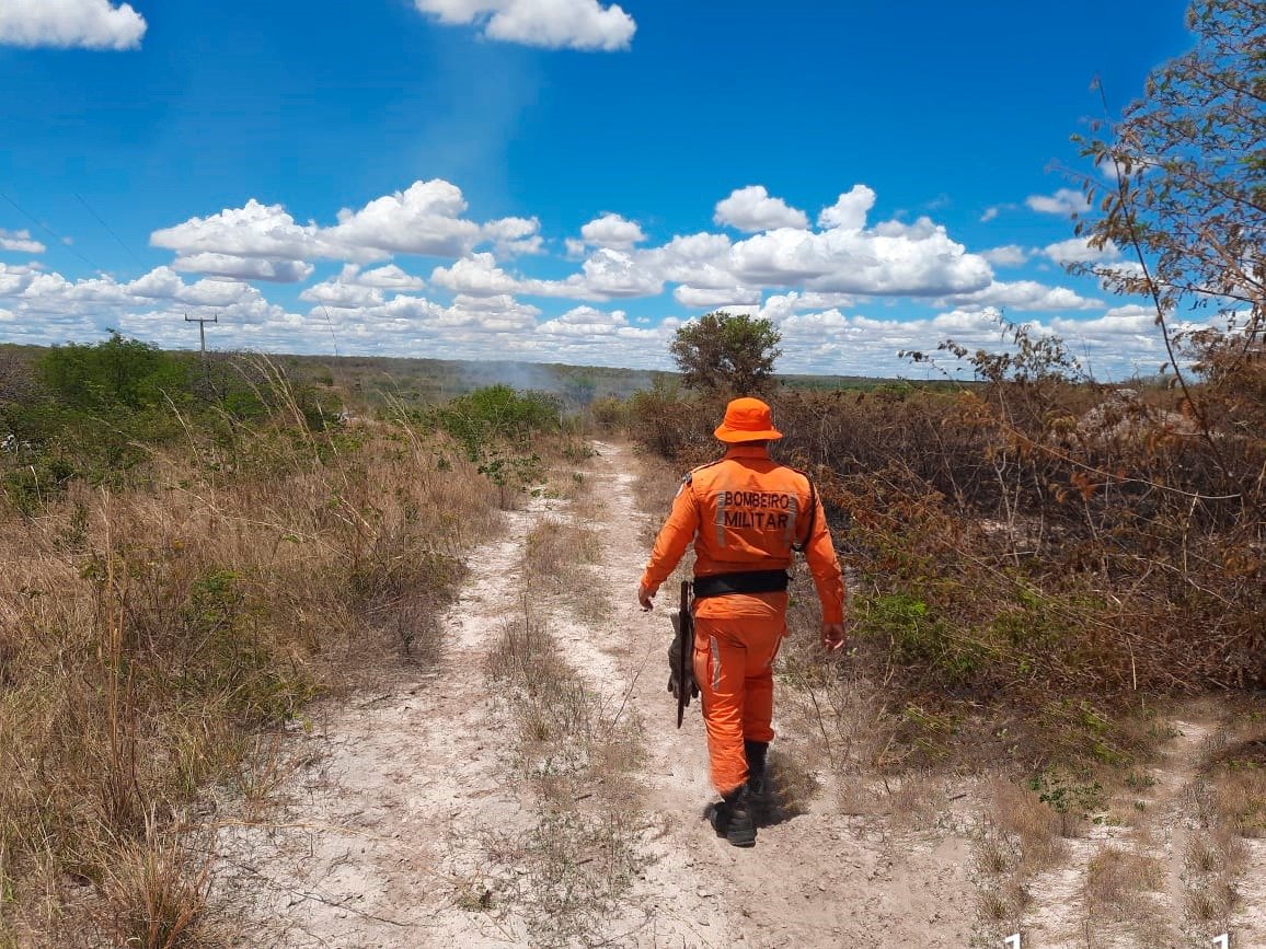 Imagem de Seminário Internacional discute formas de Prevenção, Monitoramento e Combate aos Incêndios Florestais no estado