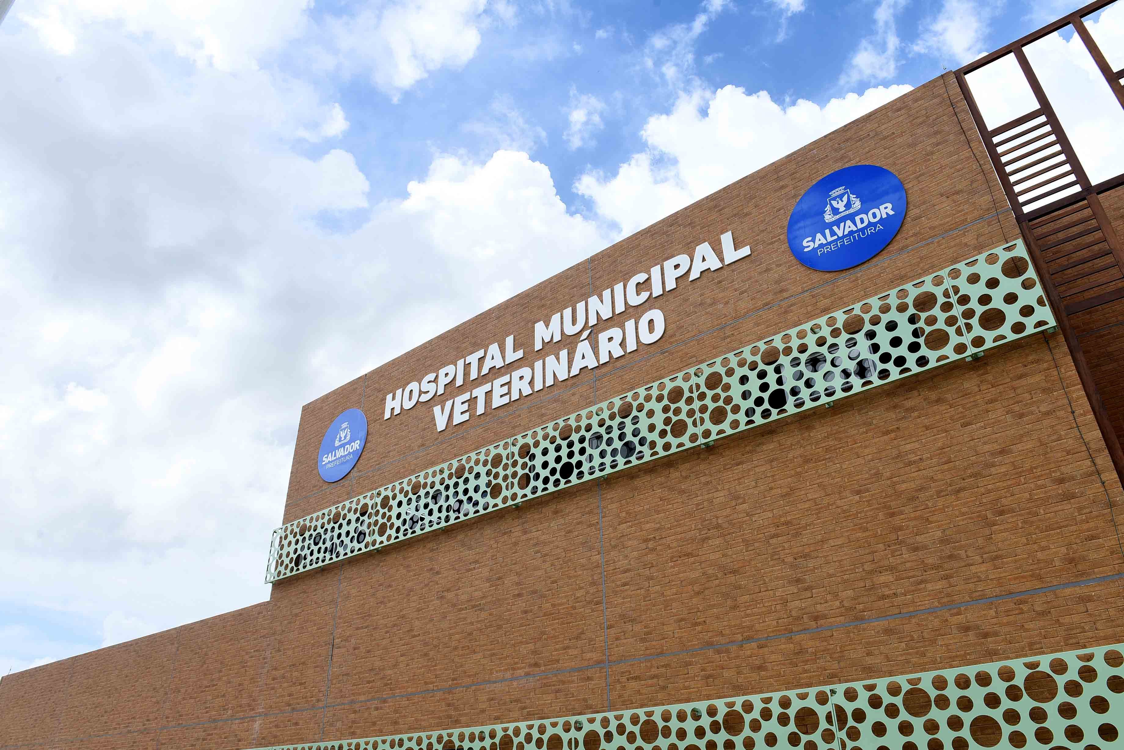 Imagem de Hospital Municipal Veterinário realiza mais de 160 atendimentos no primeiro dia de funcionamento