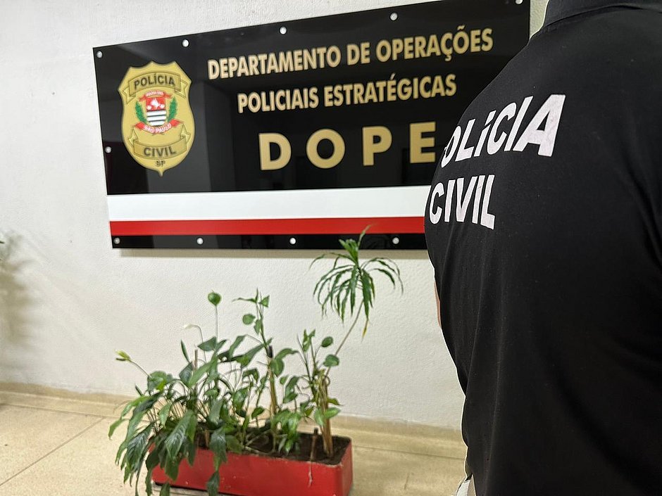 Imagem de Polícia Civil realiza segunda fase da Operação Falso Consórcio