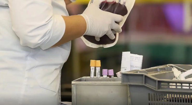 Imagem de STF reconhece direito de testemunhas de Jeová recusar transfusão