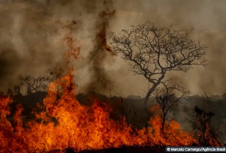 Imagem de PF abre inquéritos para investigar incêndios em todo o Brasil