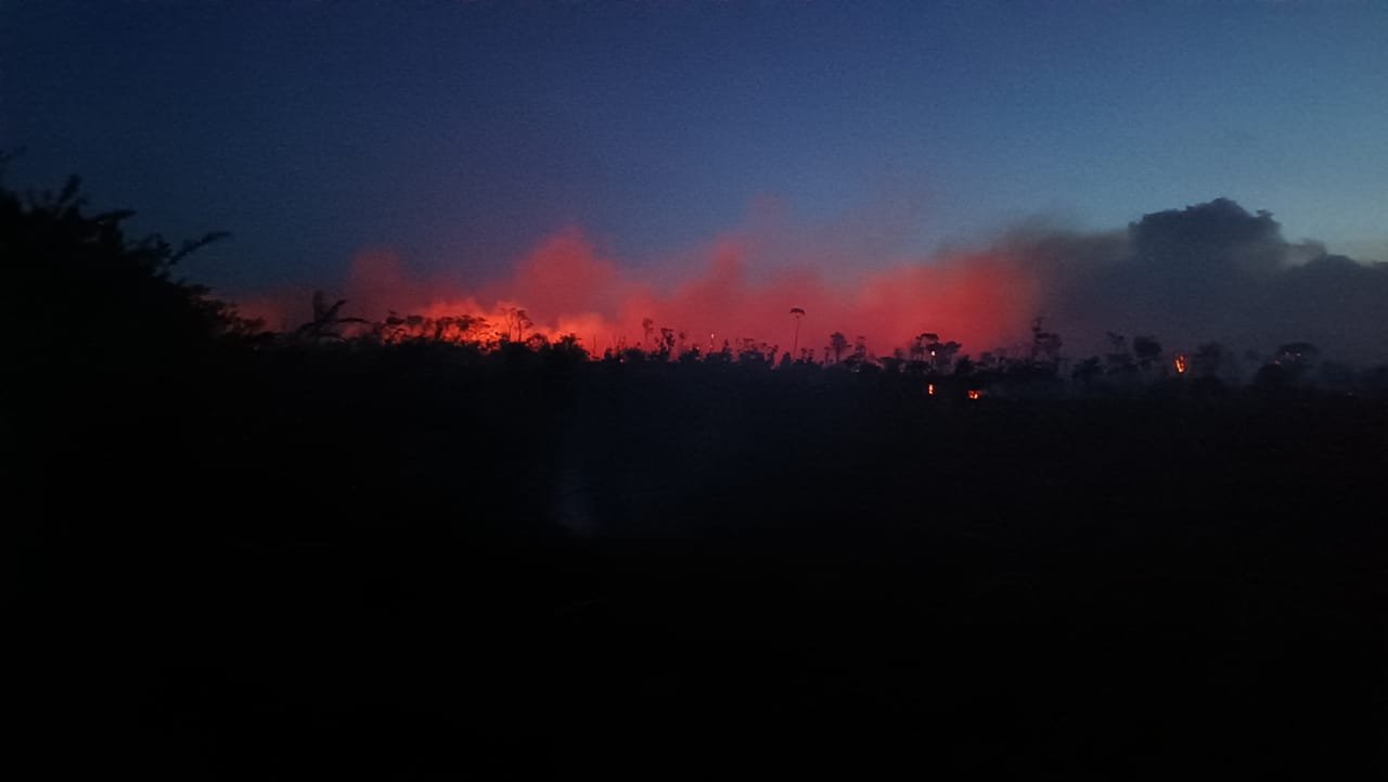 Imagem de Governo do Estado mobiliza bombeiros militares e envia aeronaves para unir esforços no combate ao incêndio florestal no Parque Nacional do Monte Pascoal