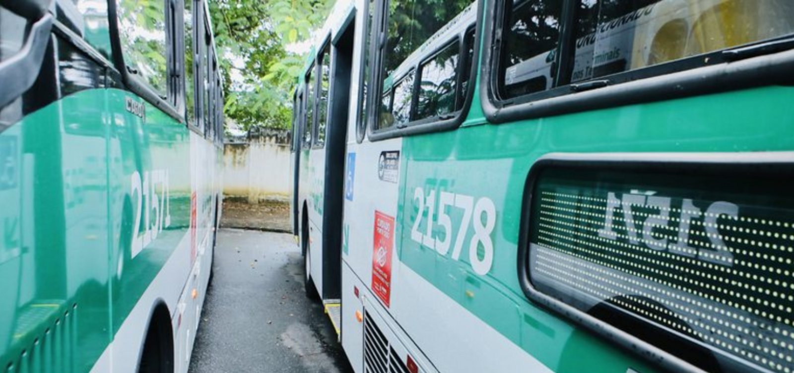 Imagem de Salvador terá operação especial de ônibus para jogo entre Brasil e Japão; veja como será o esquema
