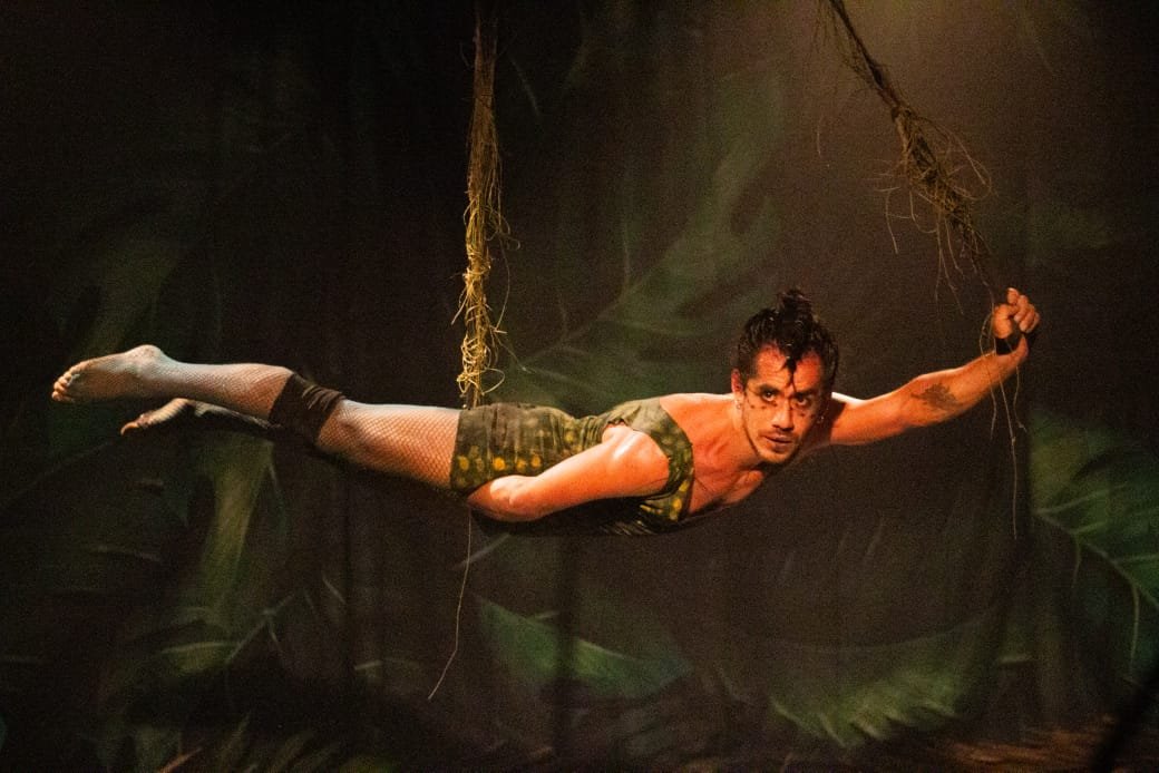 Imagem de Circo Picolino tem programação festiva em Março, o Mês do Circo