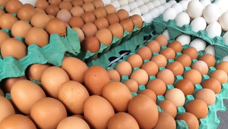 Imagem de Baixa oferta e aumento de demanda faz preço do ovo disparar, diz levantamento