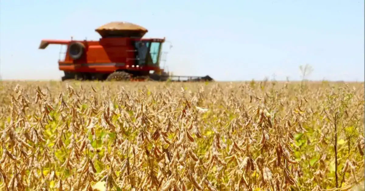 Imagem de Sob impacto dos juros altos, PIB desacelera em 2025 e fecha o ano em 2,3%, bem abaixo dos 3,4% de 2024