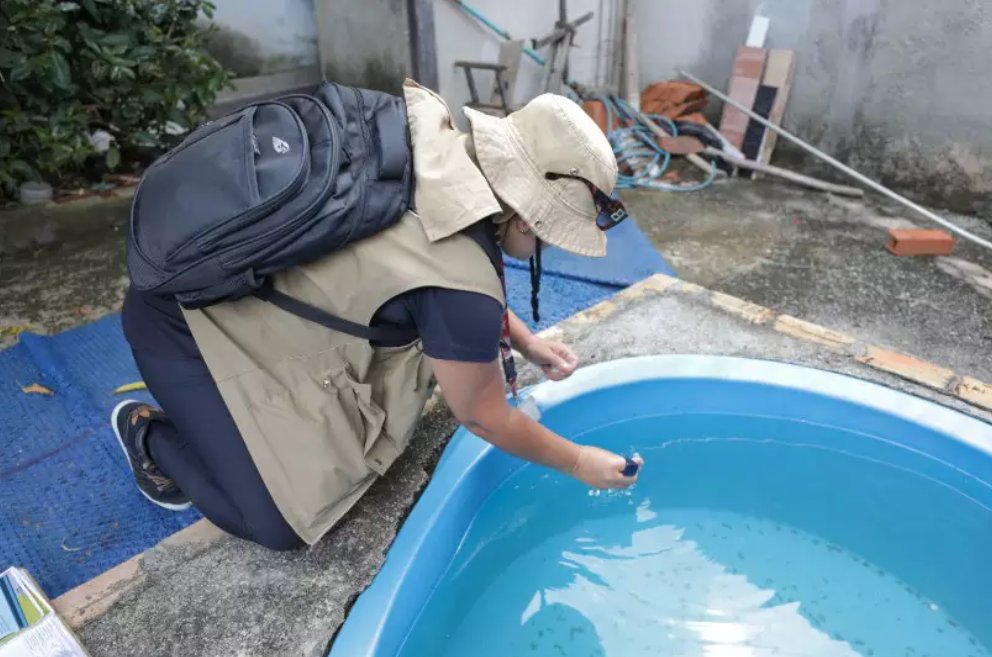 Imagem de Dengue matou mais do que Covid-19 no Brasil