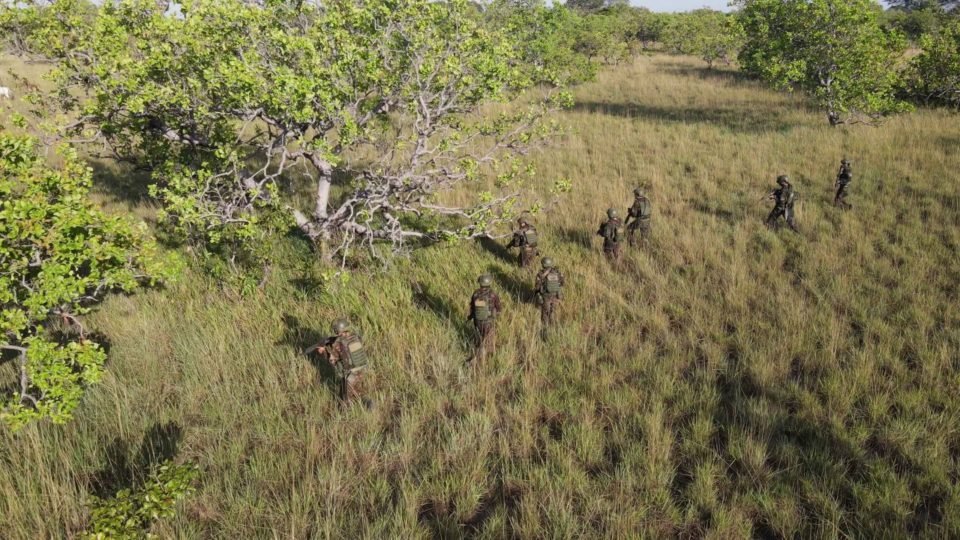 Imagem de Ameaça de guerra mostra como faltam tanques, armas e estrutura para o Brasil defender fronteiras