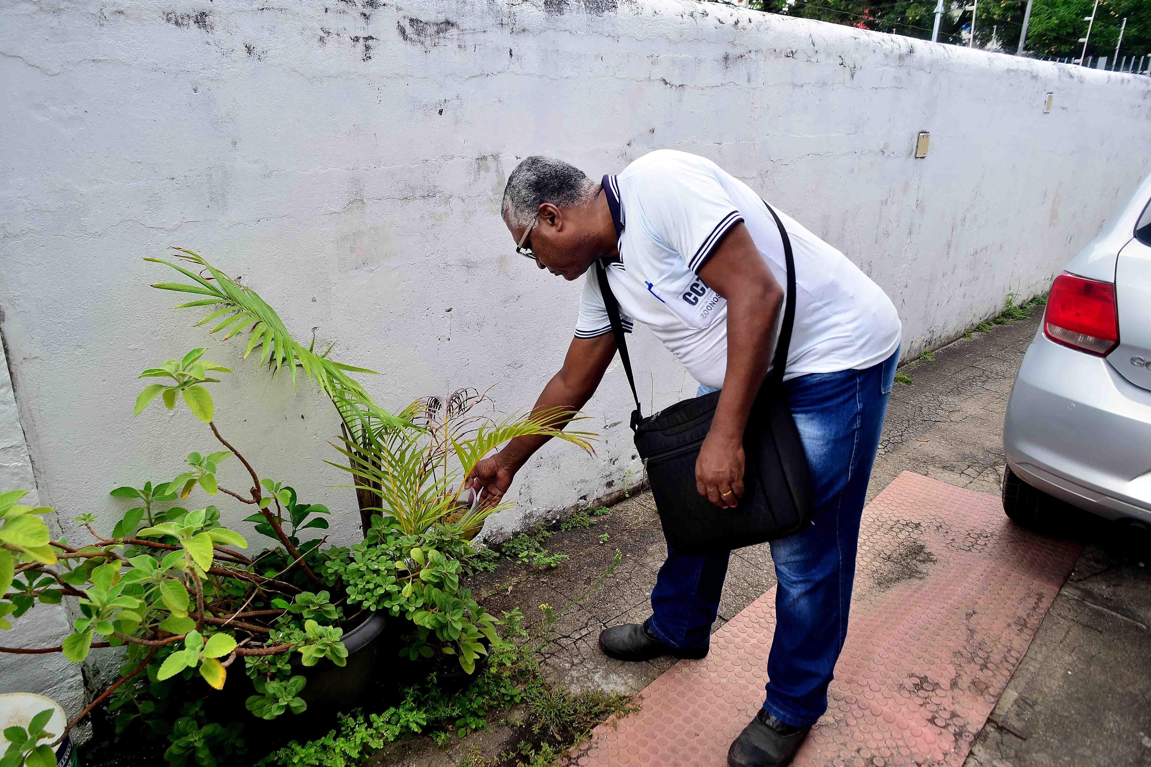 Imagem de Saúde realiza intensificação de combate ao Aedes neste sábado (28)