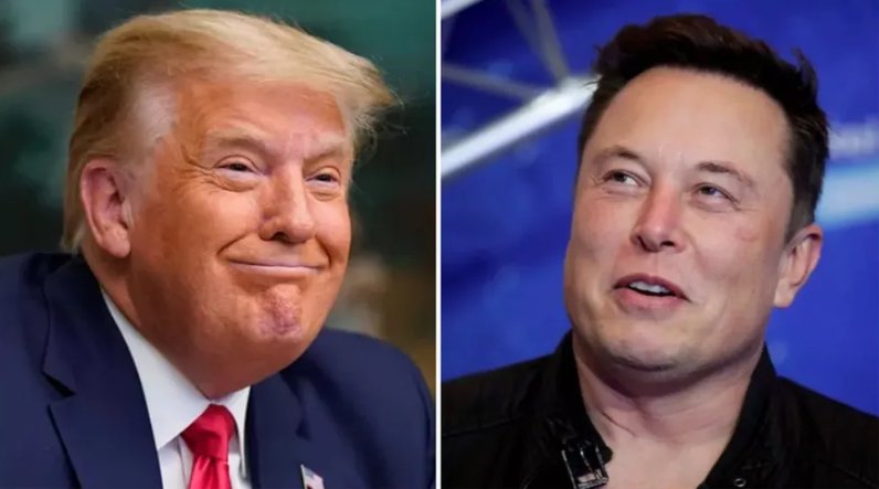 Imagem de Musk participa de ligação entre Trump e Zelensky após resultado da eleição dos EUA