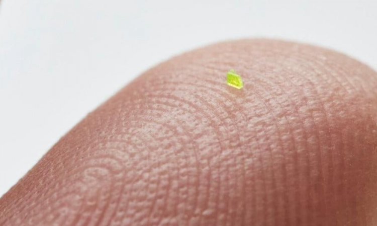 Imagem de Versão microscópica de bolsa da Louis Vuitton será vendida em leilão