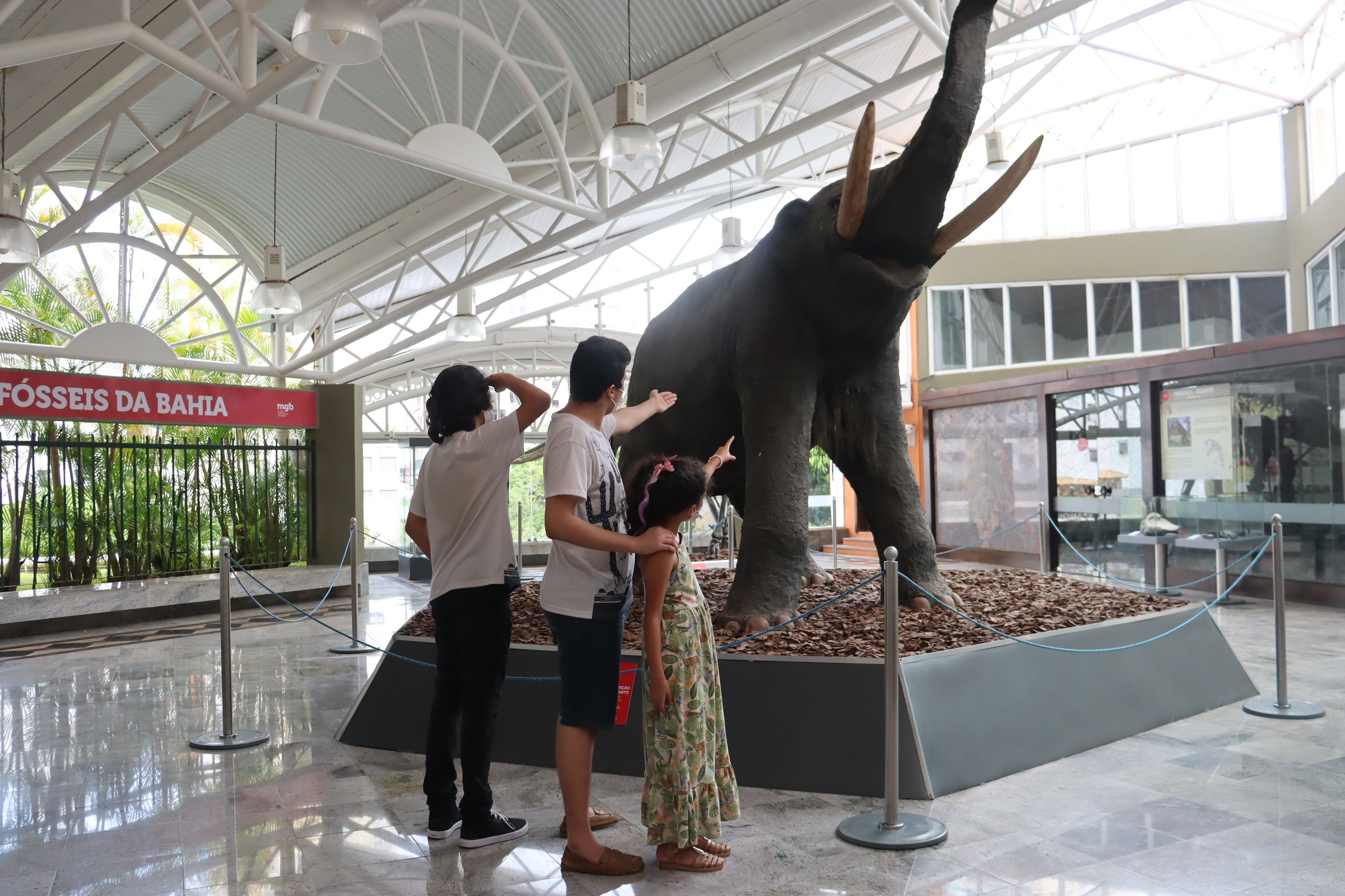 Imagem de Museu Geológico da Bahia é um ótimo destino no feriado de 12 de outubro