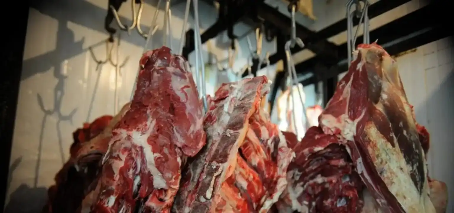Imagem de União Europeia oficializa veto à importação de carne brasileira a partir de setembro