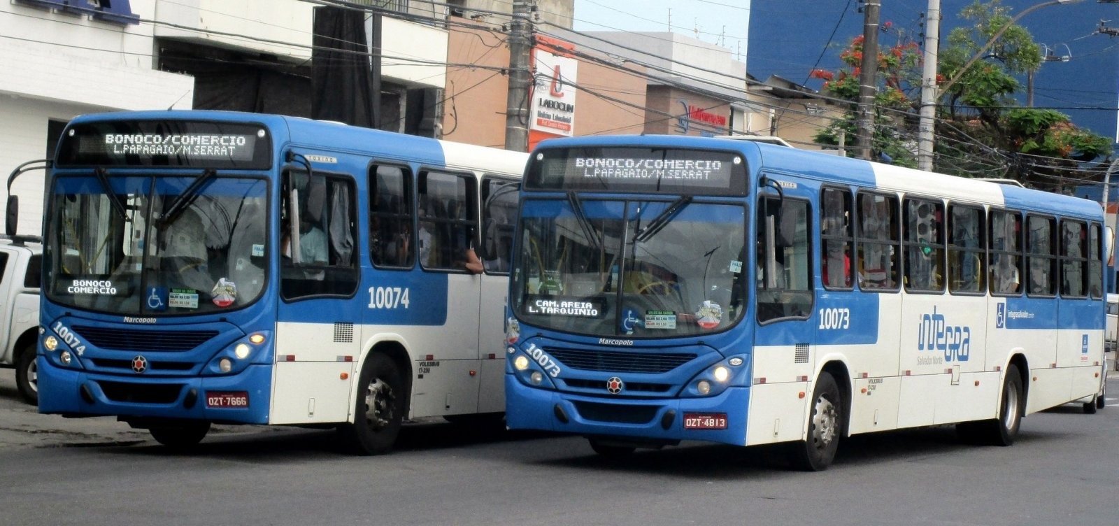 Imagem de Salvador perdeu mais de 100 linhas de ônibus nos últimos quatro anos