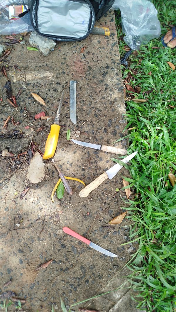 Whats App Image 2026 04 14 at 06.10.06 (2)