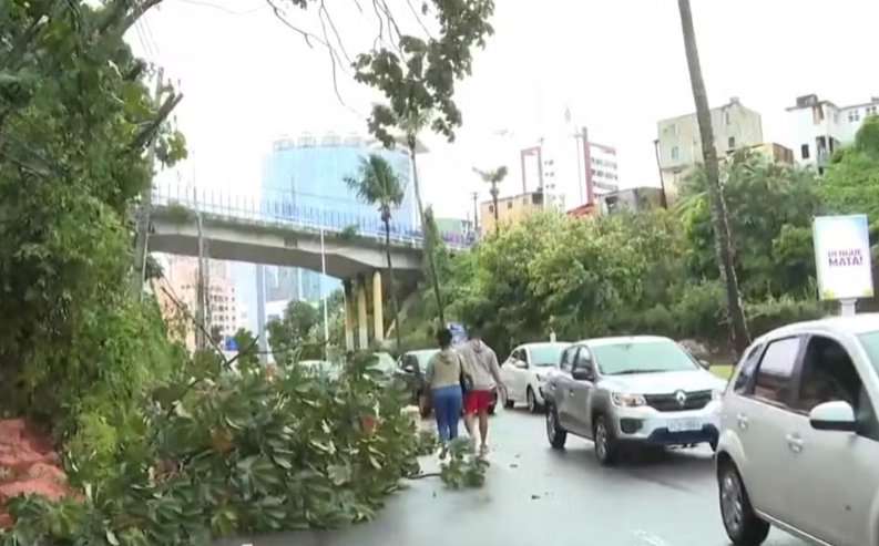 Imagem de Chuvas: em menos de 24h, Codesal registra mais de 400 ocorrências