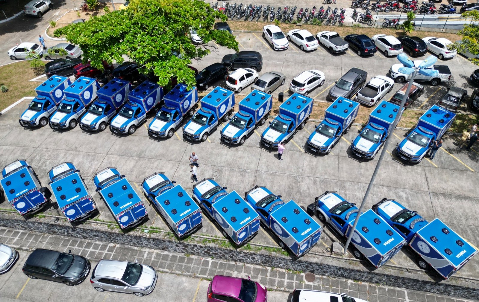 Imagem de Governo da Bahia entrega frota de 21 novos veículos para a Polícia Técnica da capital e interior