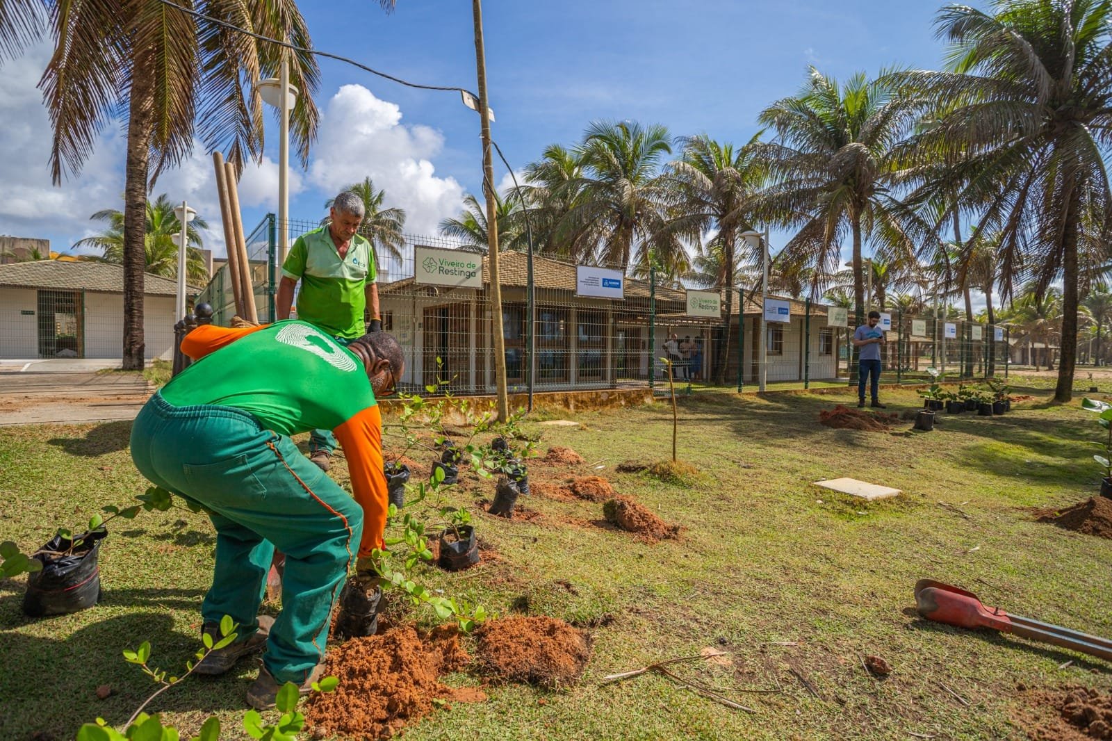 Imagem de Prefeitura planta 110 espécimes de restinga em Praia do Flamengo e ultrapassa 12,5 mil novas mudas em 2025