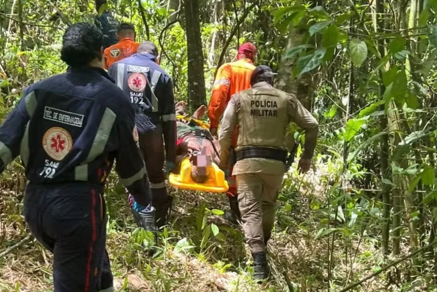 Imagem de Idoso desaparecido há 30 dias é encontrado em área de mata na RMS