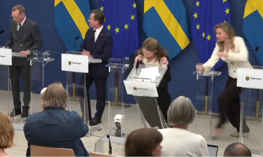 Imagem de Nova ministra da Saúde da Suécia desmaia durante coletiva de imprensa