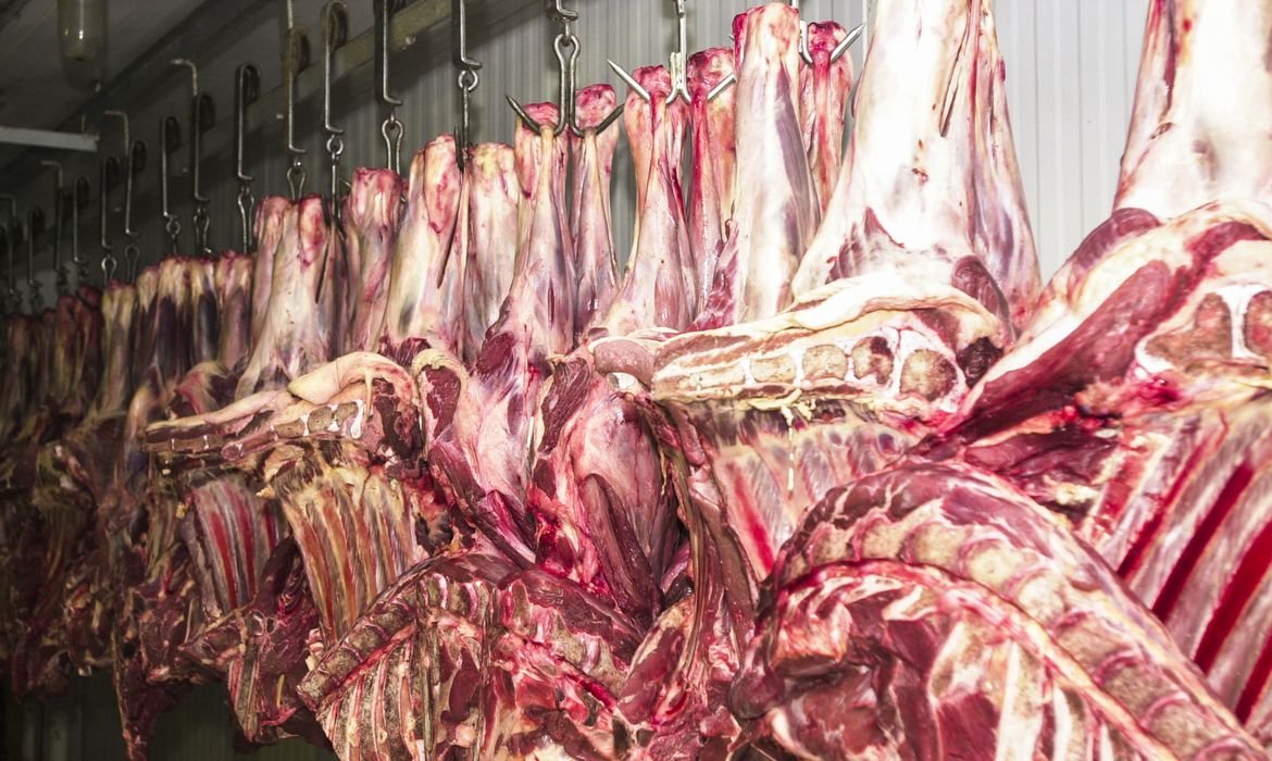 Imagem de Especialistas avaliam que impacto de suspensão das exportações de carne por vaca louca será contornado