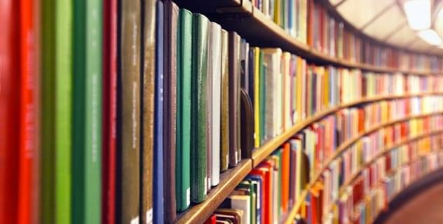 Imagem de Dia do bibliotecário será celebrado com a presença de autoridades locais e nacionais