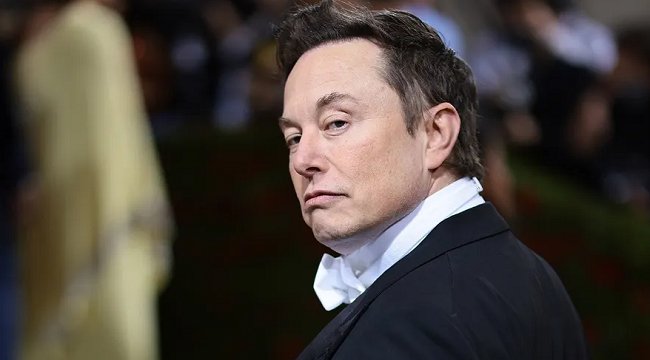 Imagem de Elon Musk: Trump vencerá a reeleição em ‘vitória esmagadora’ se for preso