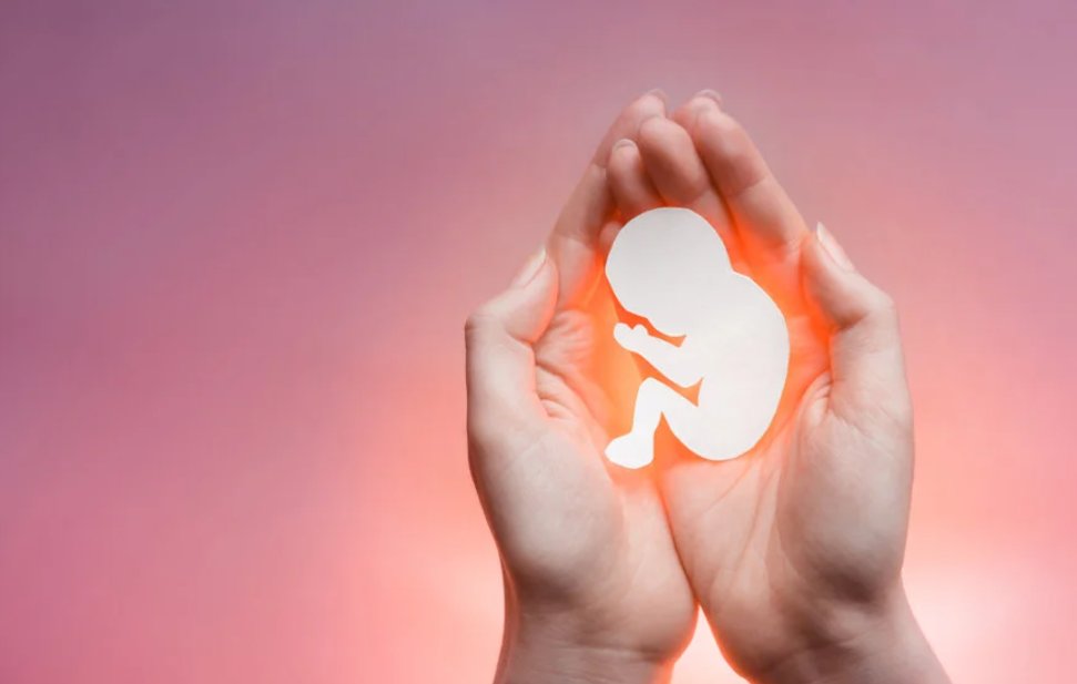 Imagem de Justiça suspende resolução sobre aborto em crianças