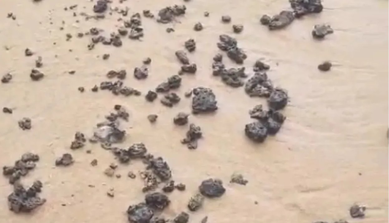 Imagem de Manchas de óleo são encontradas em praias de Salvador neste domingo