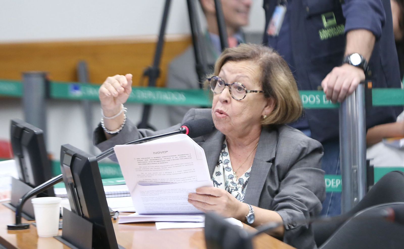 Imagem de Projeto de Lídice da Mata que cria Política Nacional de Desenvolvimento da Economia Criativa avança na Câmara