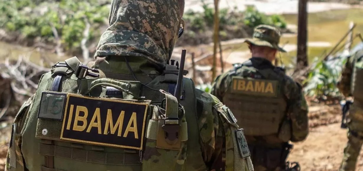 Imagem de Servidores do Ibama paralisam fiscalização para reivindicar aumento