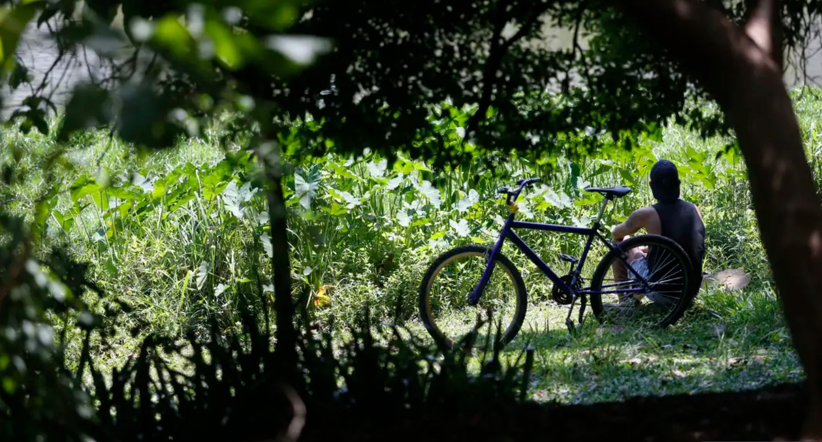 Imagem de Outono chega com temperaturas acima da média em todas as regiões