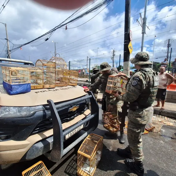 Imagem de PM resgata 21 aves silvestres e prende suspeito durante operação na Feira do Rolo, em Salvador