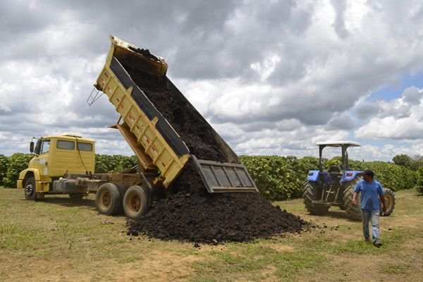 Imagem de Embasa e Uesb monitoram uso de lodo de esgoto como biofertilizante na agricultura
