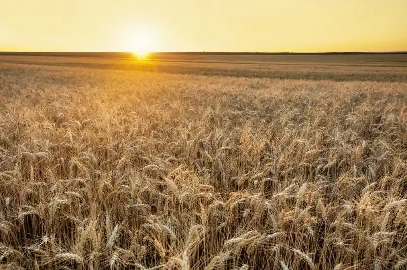 Imagem de Bahia Farm Show apresenta exposição fotográfica sobre as belezas do Oeste da Bahia