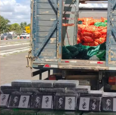 Imagem de Motorista é preso suspeito de transportar quase meia tonelada de cocaína em caminhão carregado de cebolas no interior da Bahia
