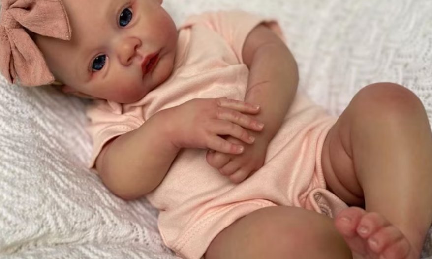 Imagem de Deputado propõe proibir atendimento a bebês reborn em hospitais públicos