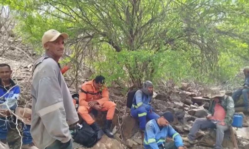 Imagem de Caçadores estão desaparecidos há 50 dias após entrarem em área de mata no oeste da Bahia