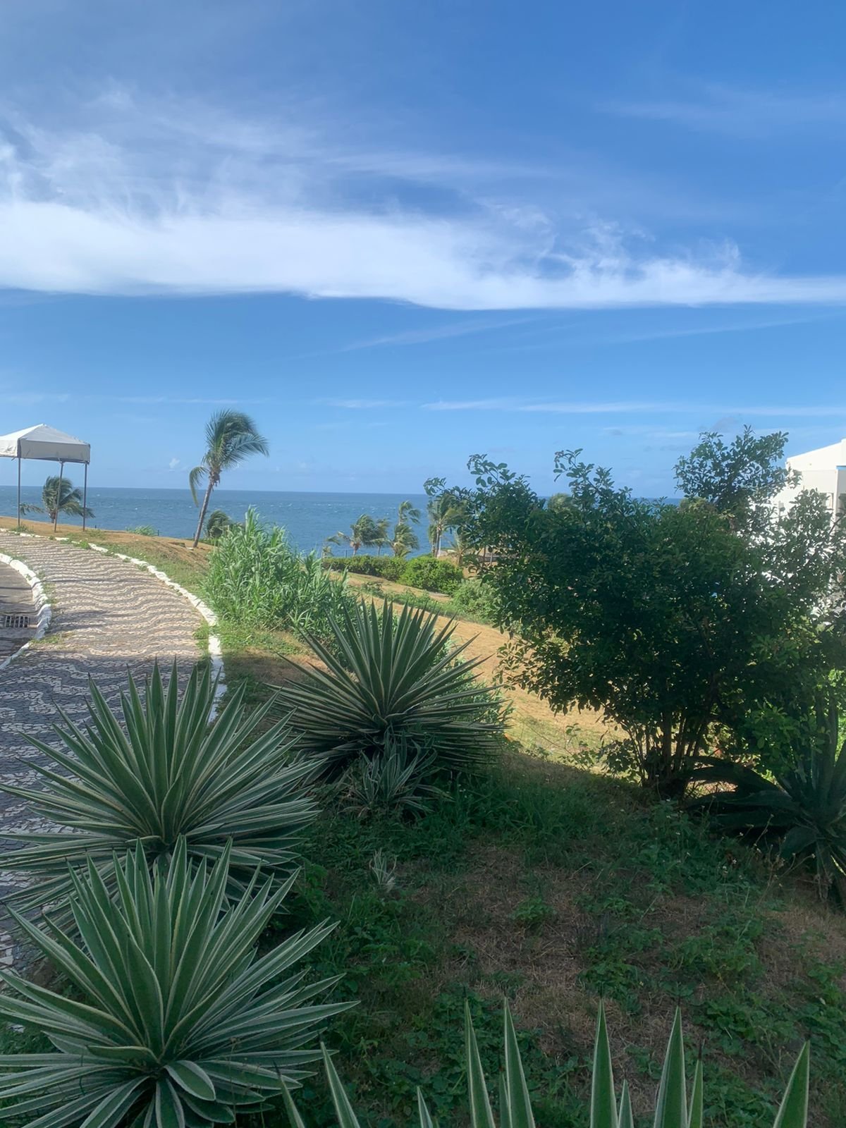 Imagem de Bacelar se manifesta contra a venda de terrenos em áreas verdes na Barra