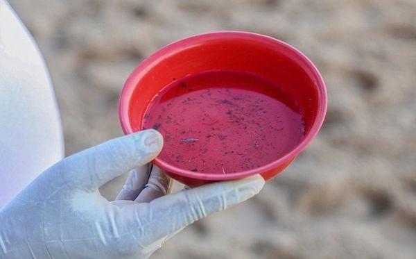 Imagem de Casos graves de dengue acendem alerta na Bahia
