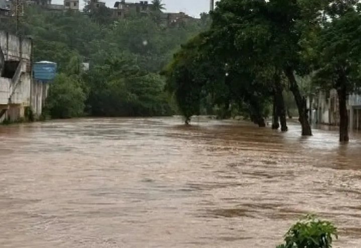 Imagem de Santo Amaro decreta situação de emergência após rio transbordar