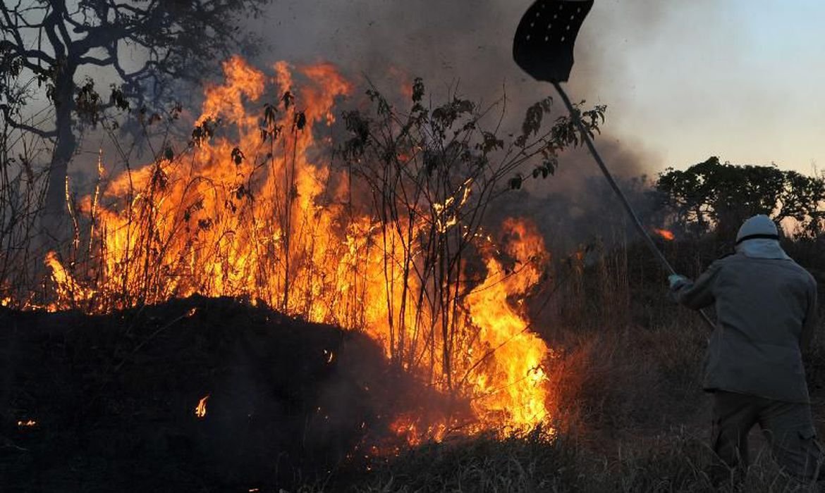 Imagem de Amazônia concentra 90% da área com focos de incêndio no 1º bimestre