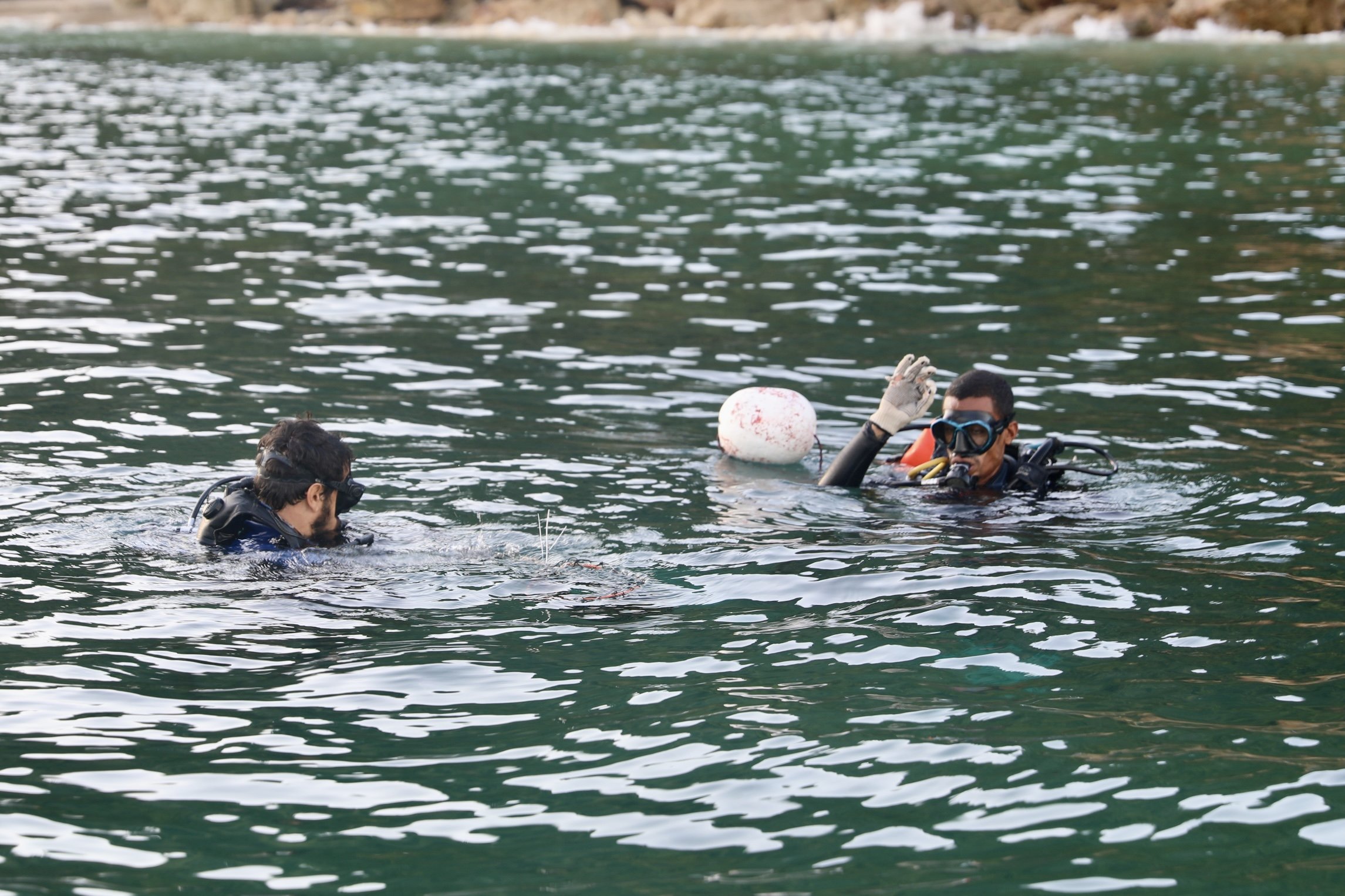 Imagem de Peixe-leão é encontrado e capturado por especialistas na costa da Bahia