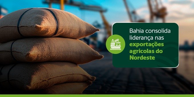 Imagem de Bahia consolida liderança nas exportações agrícolas do Nordeste
