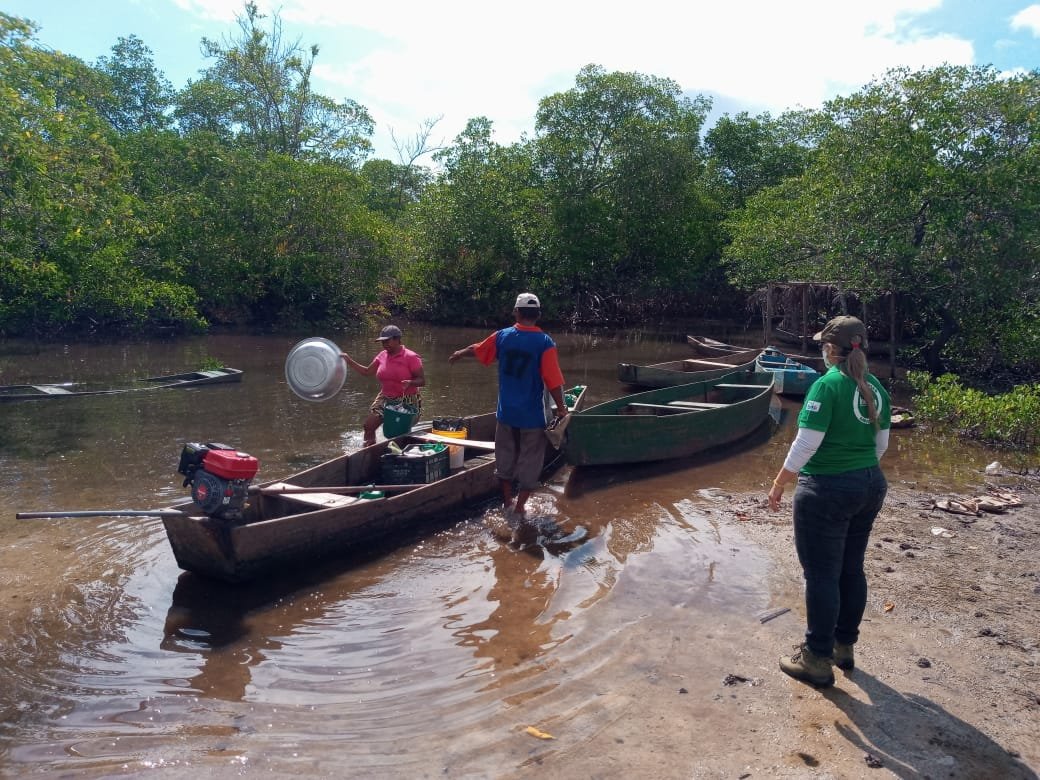 Imagem de Inema inicia primeira etapa de fiscalização no período do defeso do Caranguejo-uçá