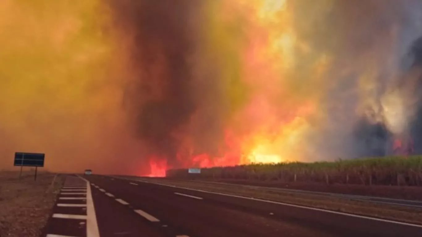 Imagem de Queimadas deixam 48 cidades paulistas em estado de alerta máximo