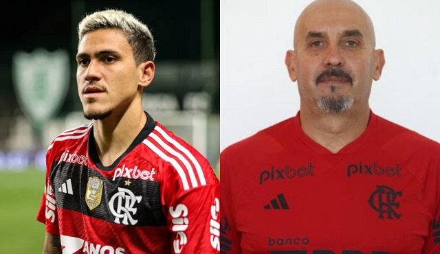 Imagem de Preparador físico de Sampaoli agride Pedro após vitória do Flamengo