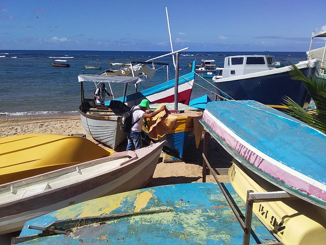 Imagem de Salvador Contra a Dengue: SMS segue com mobilização e ações de combate ao Aedes neste final de semana